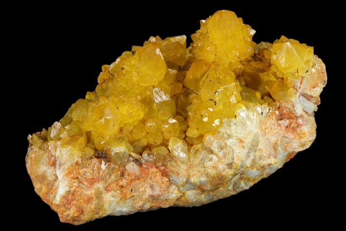Sunshine Cactus Quartz Crystal Cluster - South Africa #132886